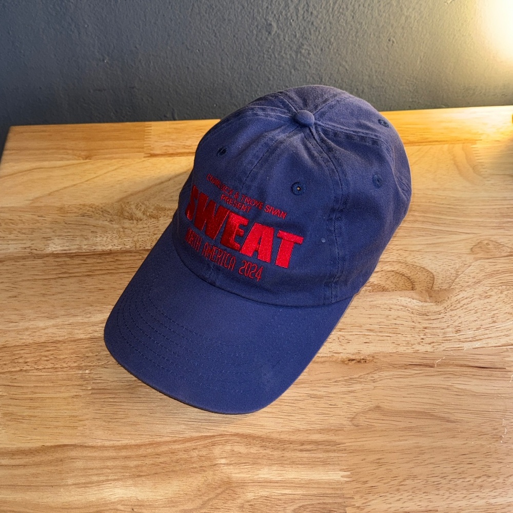 Hat from Troye Sivan/Charli XCX SWEAT tour - Picture 4 of 4